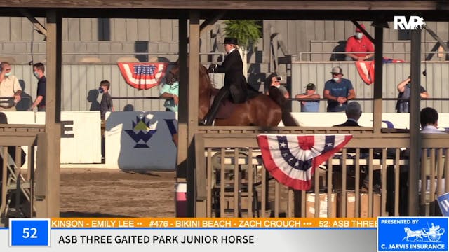 2020 MCF - Class 52 ASB Three Gaited ...