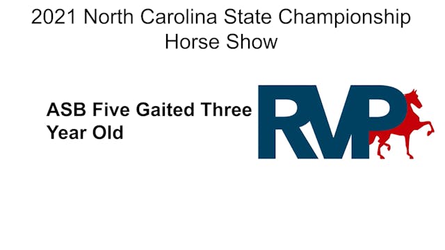 NCSC21 - Class 100 - ASB Five Gaited ...