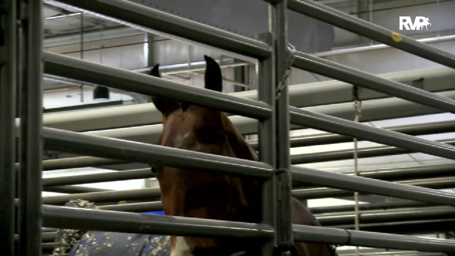 2019 Madison Classic - Academy - Saturday Morning