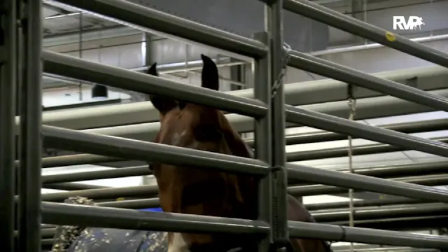 2019 Madison Classic - Academy - Satu...