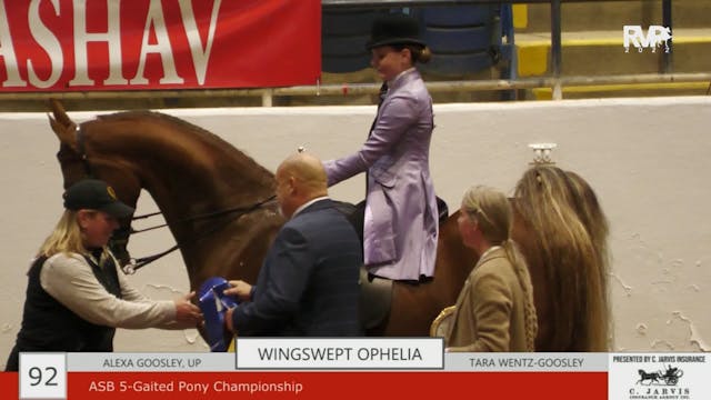 ASHAV22 - Class 92 - ASB Five Gaited ...