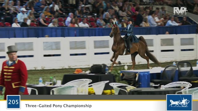 WCHS22 - Class 205 - Three Gaited Pon...