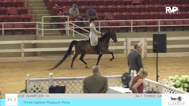 ASF22 - Class 34.1 - Three Gaited Ple...