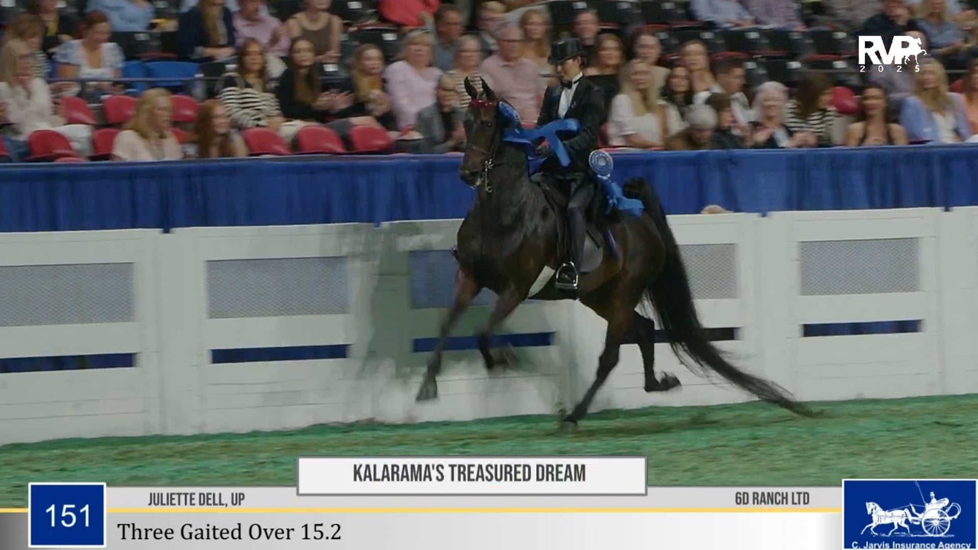 WCHS25 - Class 151 - Kalarama's Treasured Dream and Juliette Dell, Up