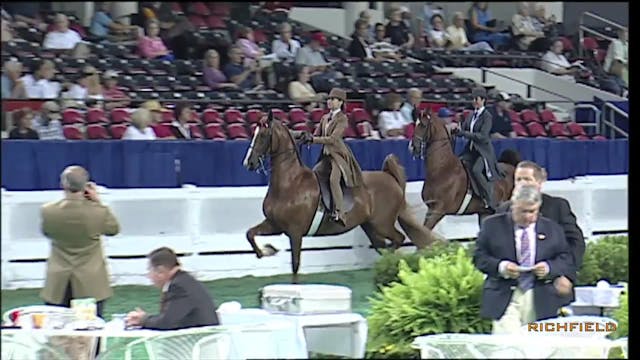 2010 World's Championship Horse Show ...