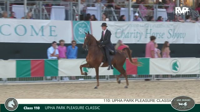 LJL22 - Class 110 - UPHA Park Pleasur...