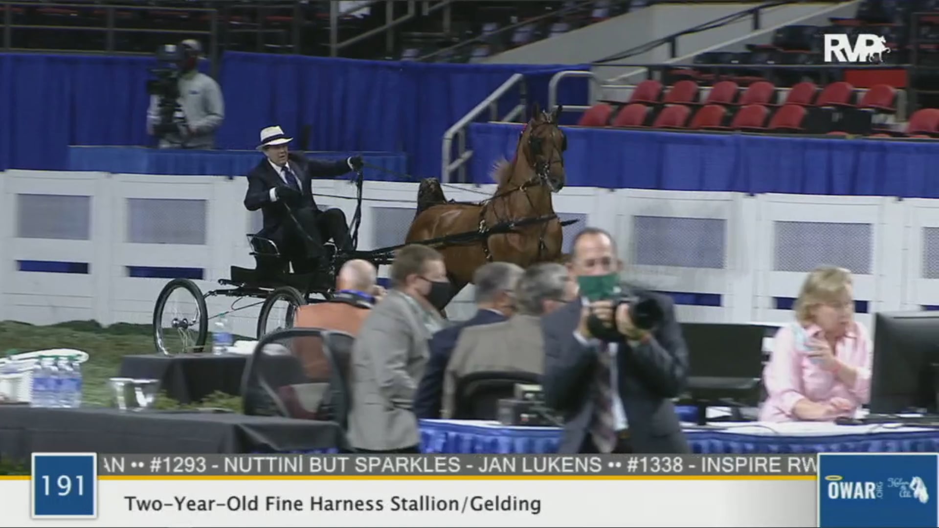 WCHS 2020 Class 191 - Two-Year-Old Fine Harness Stallion:Gelding