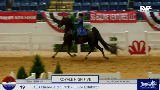 SC25 - Class 19 - ASB Three Gaited Pa...