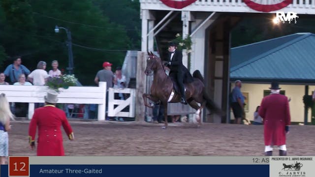 SHS22 - Class 12 -  Amateur Three Gaited