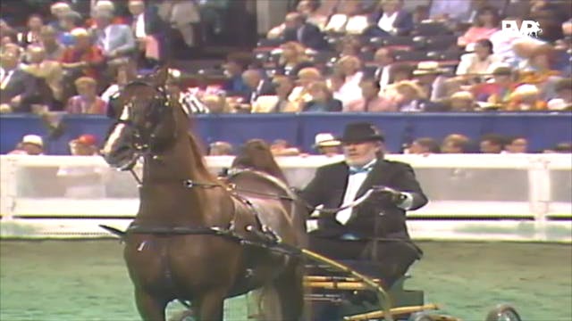 1992 WCHS Class 151 Amateur Fine Harn...
