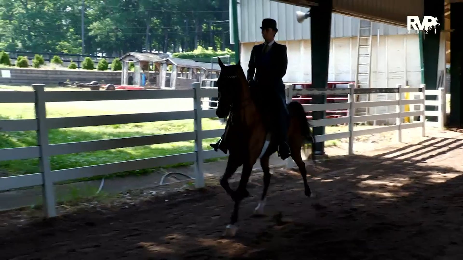 SS21 - Class 62 - Morgan English Pleasure Amateur