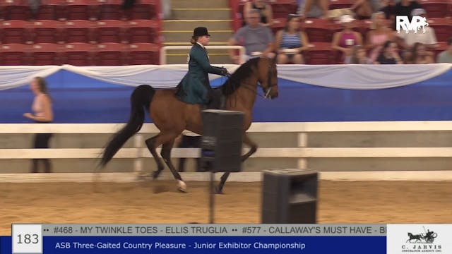 BR22 - Class 183 - ASB Three Gaited C...