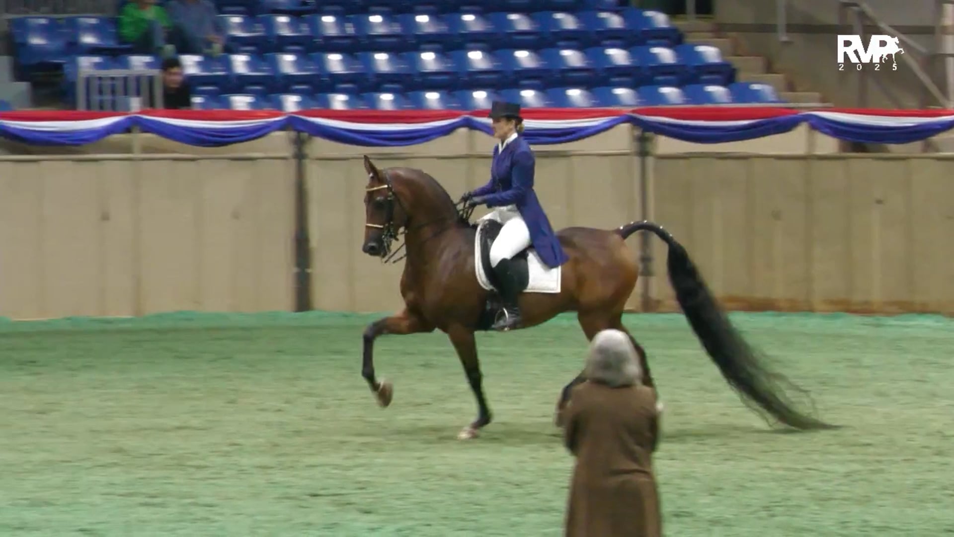 AN25 - Class 3333 - HA-AA English Show Hack AAOTR 19-49 Championship