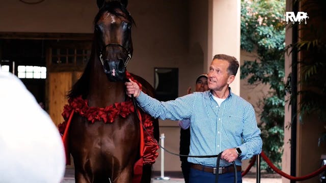 2025 Arabian Nationals - First Saturd...