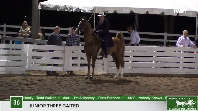 2017 RC - Class 36 Junior Three Gaited