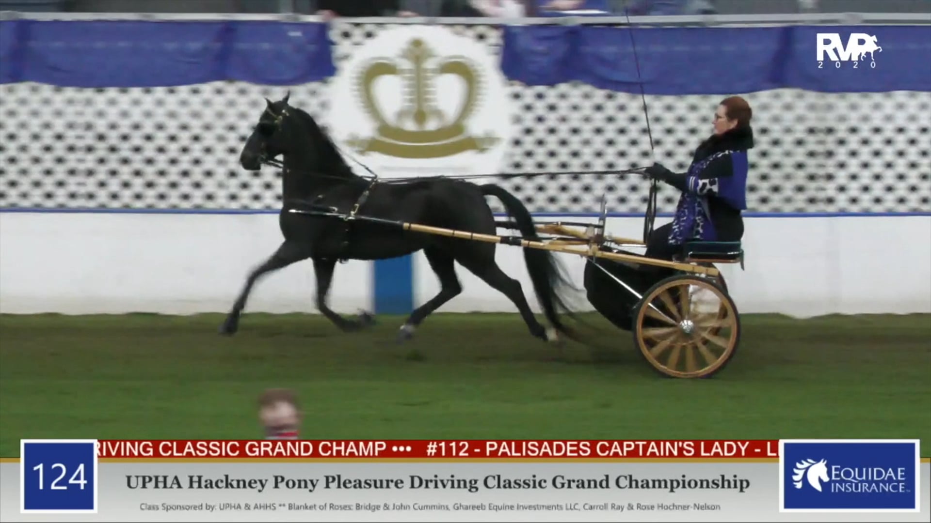 2020 AR - Class 124 UPHA Hackney Pony Pleasure 
Driving Classic Grand
 Championship