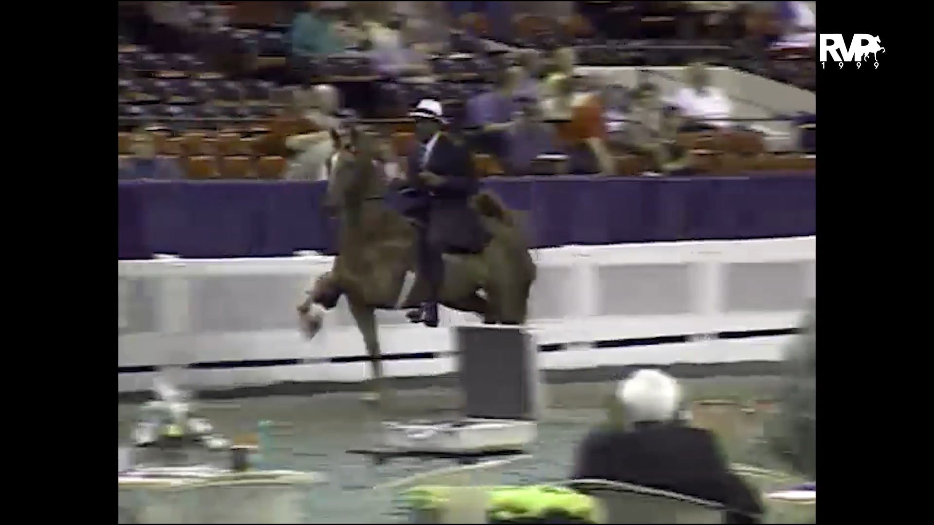 1999 WCHS - Class 95 ASHA National Three Year Old Futurity - Three Gaited-