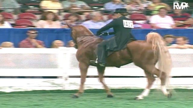 2003 WCHS Class 5 Ladies' Three Gaite...