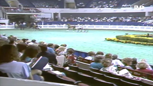 1991 WCHS Class 39A ASHA Kentucky Fut...