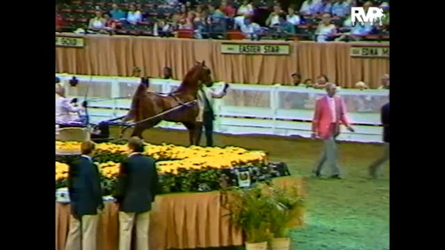 WCHS 1985 - Class 108 - $2,000 Two Ye...