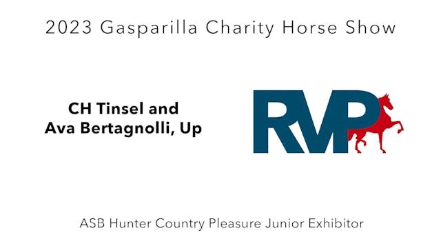 GASP23 - Class 4 - CH Tinsel and Ava ...