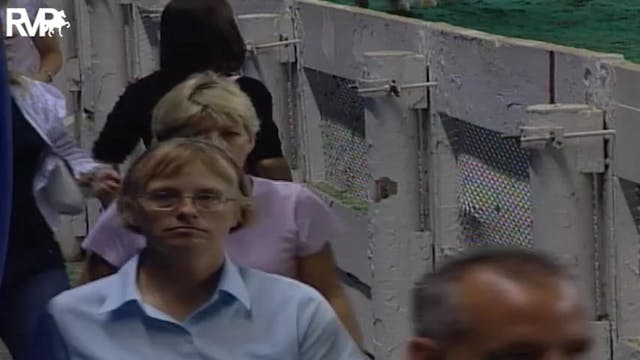 2004 World's Championship Horse Show ...