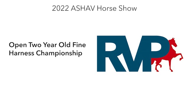 ASHAV22 - Class 64 - Open Two Year Ol...