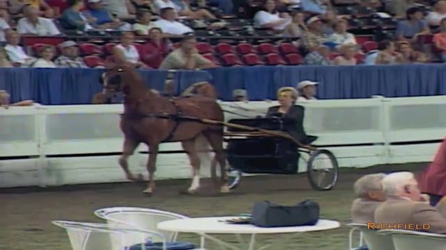 2002 WCHS Class 73 Show Pleasure Driv...
