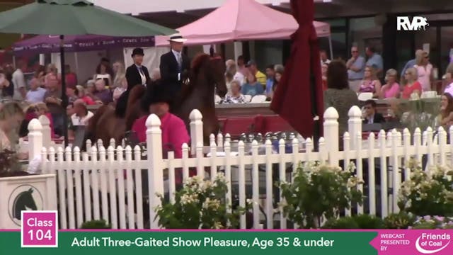 2015 LJL - Class 104 Adult Three Gait...