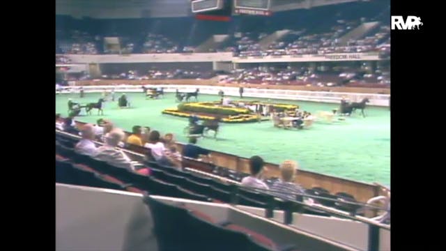 1989 WCHS Class 15 AHHS Futurity - Th...