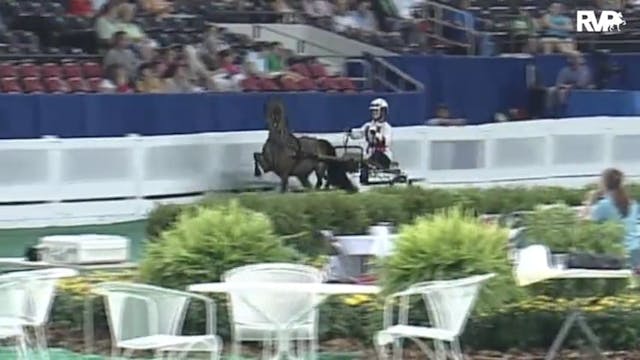 2010 World's Championship Horse Show ...