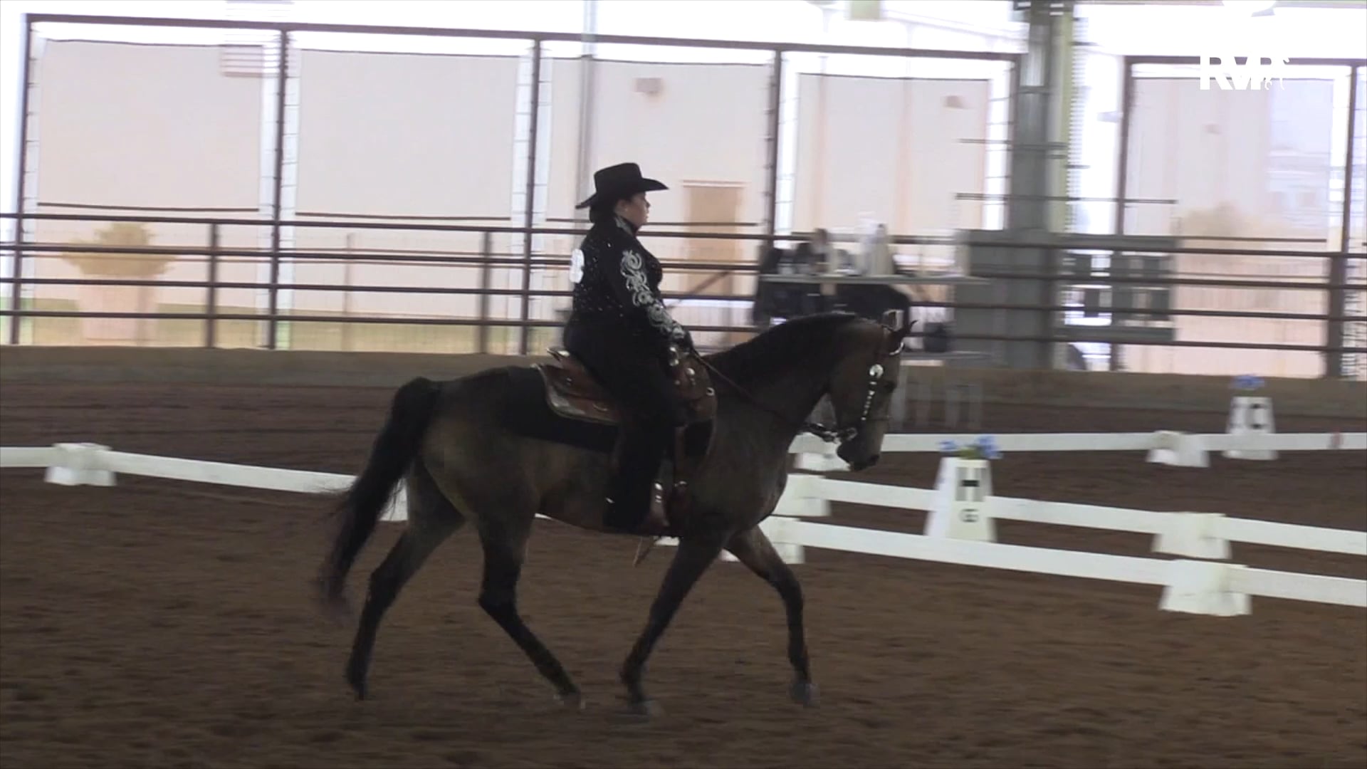 2020 MGN - Class 609 GN Western Dressage Basic Level Test 3 Open