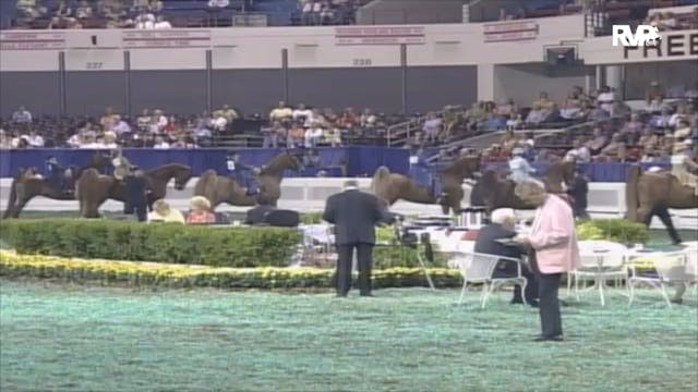 2006 WCHS Class 187 
Equitation Walk ...