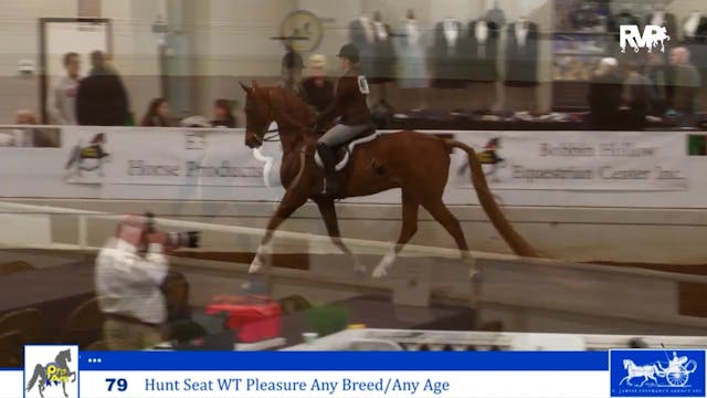 ProAm24 - Class 79 - Hunt Seat WT Ple...