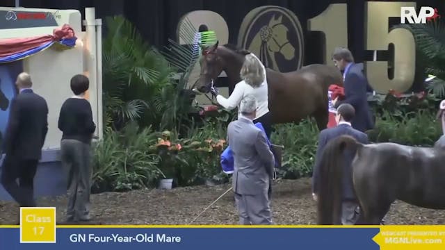 2015 MGN - Class 17 GN Four Year Old ...
