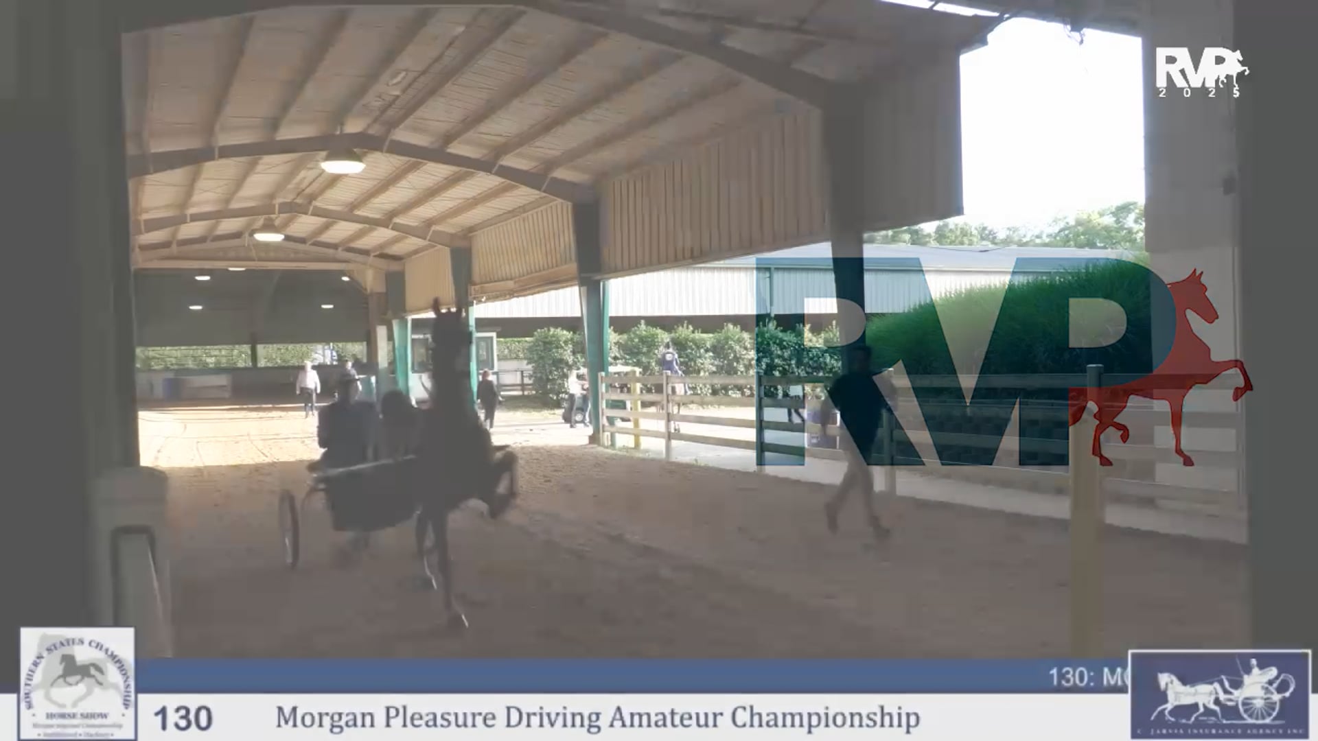 SS25 - Class 130 - Amateur Morgan Pleasure Driving Championship