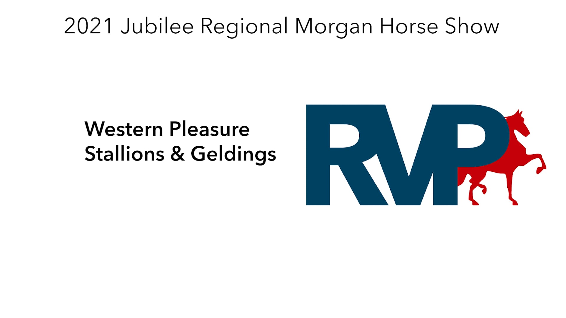 MJ21 - Class 17 - Western Pleasure Stallions & Geldings