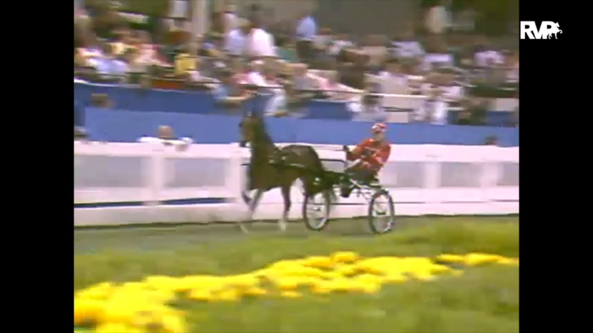 1993 WCHS Class 154 Amateur Roadster Pony
Championship
