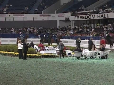 2008 WCHS Class 139 Ladies Three Gaited