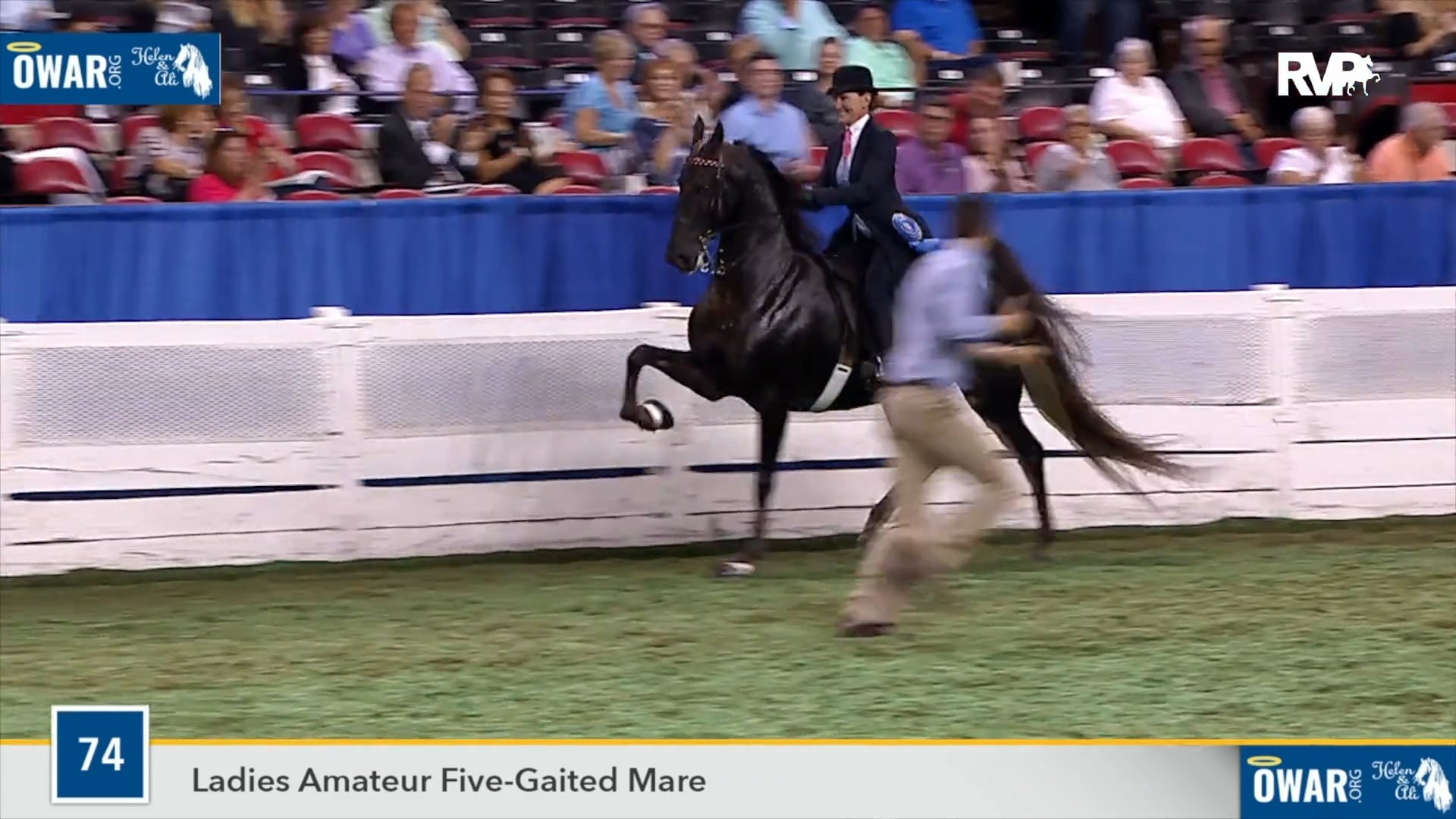 WCHS18 Class 74 - Two Sweet To Kiss - From Barn to Blue