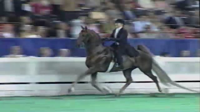 2006 World's Championship Horse Show ...