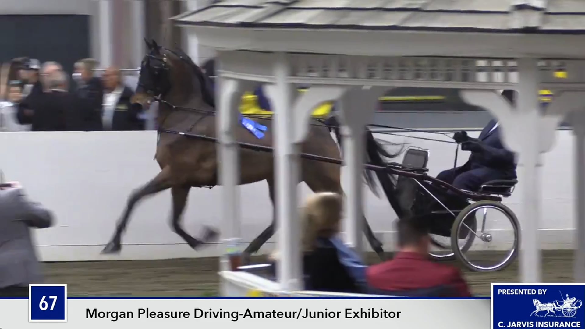 UPHACh14 17 - What's Up