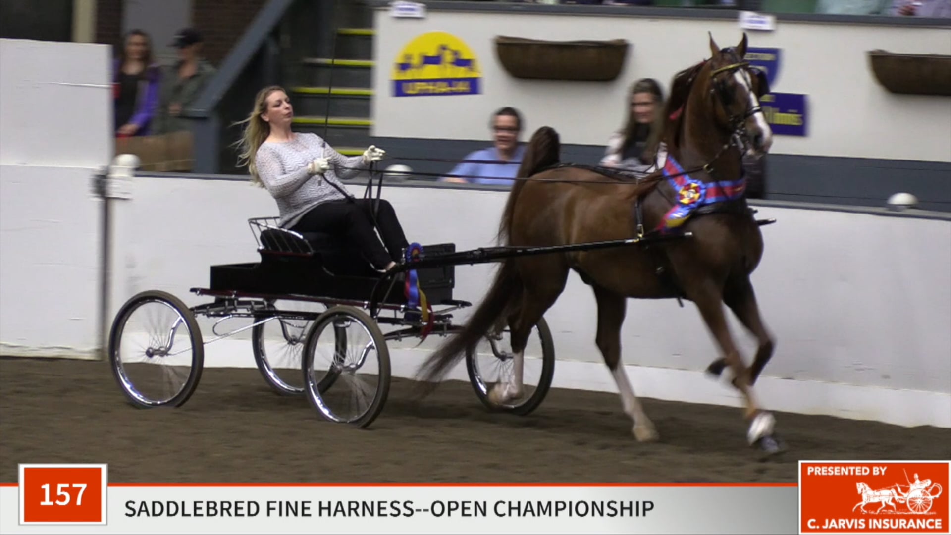 UPHA14-19 - Class 157 - Absolutely Amazing Championship