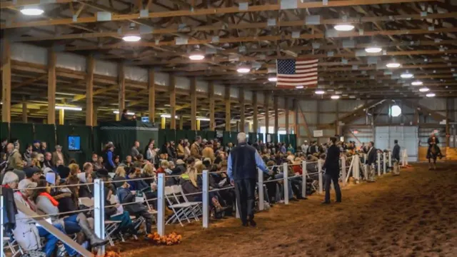 2015 American Royal - Tuesday 11-00 AM