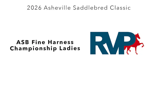 ASC26 - Class 154.1 - ASB Fine Harnes...