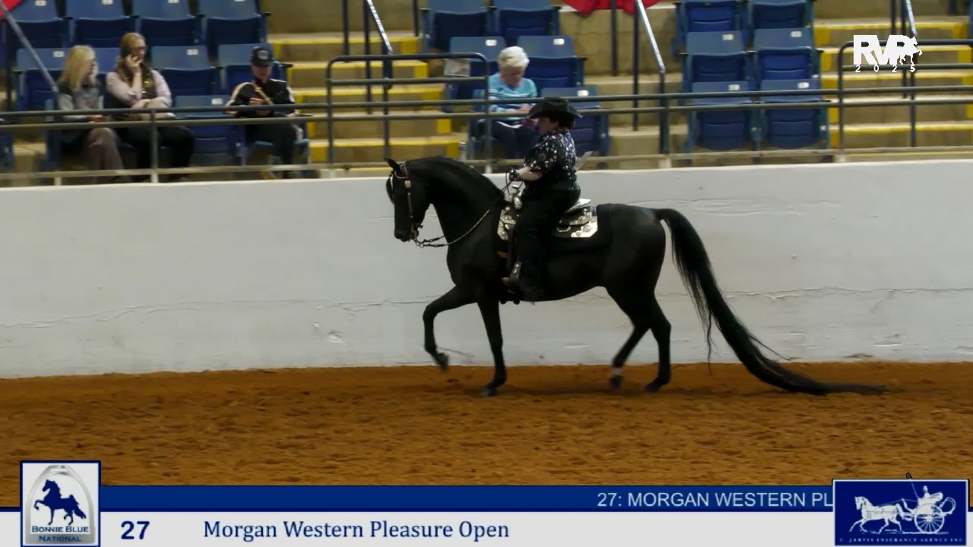 BB25 - Class 27 Morgan Western Pleasure Open