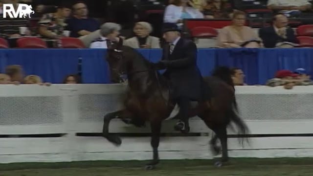 2004 World's Championship Horse Show ...