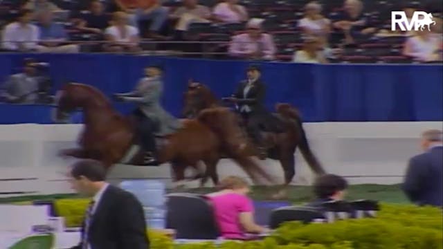 2007 WCHS Class 32 Junior Exhibitor T...