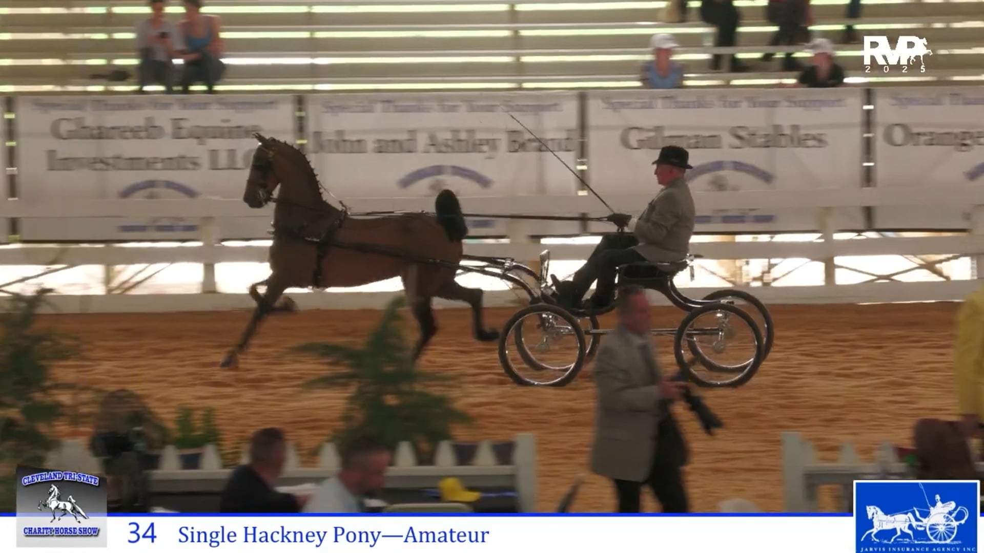 CTS25 - Class 34 - Single Hackney Pony Amateur