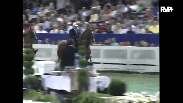 1997 WCHS - Class 93 Five Gaited Mare...